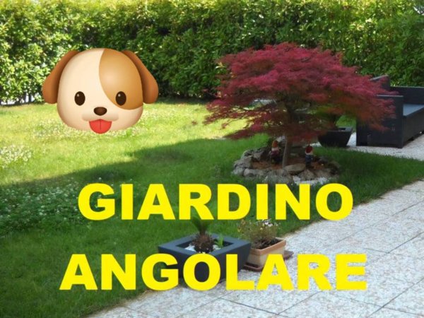 appartamento in vendita a Monzambano