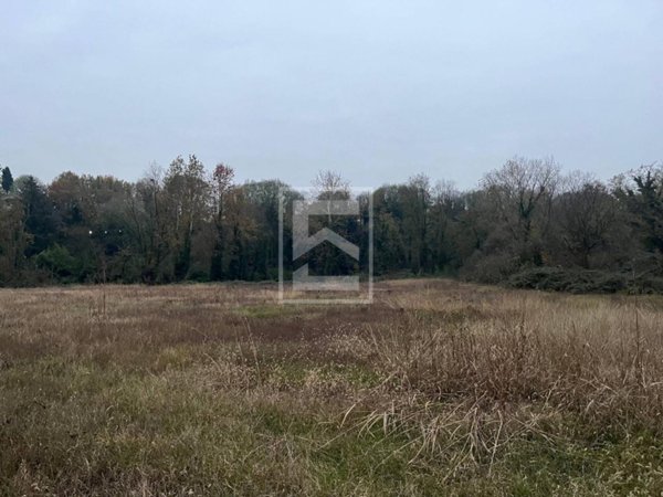 casa indipendente in vendita a Monzambano