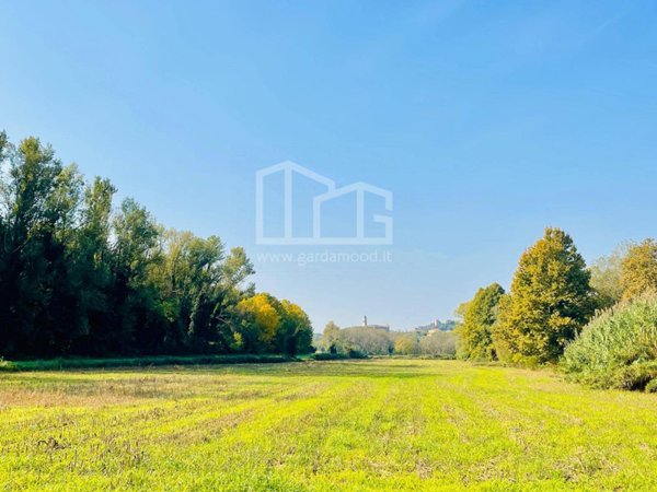 terreno agricolo in vendita a Monzambano