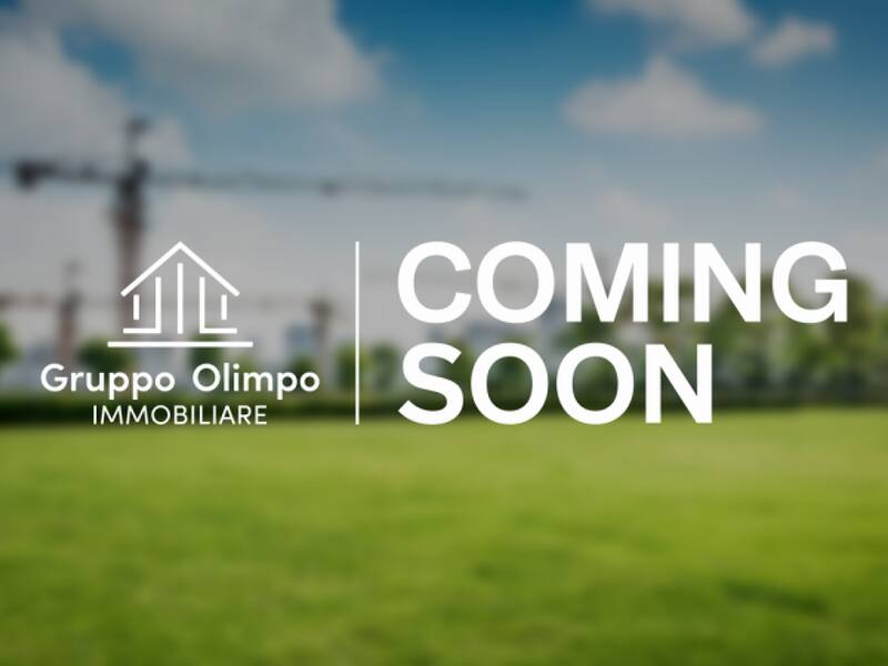 terreno agricolo in vendita a Monzambano