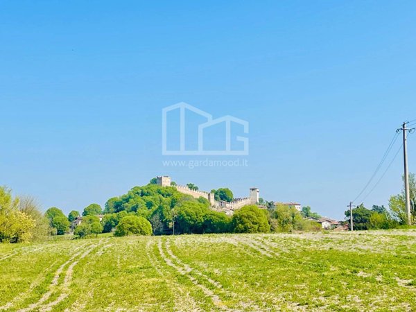 terreno agricolo in vendita a Monzambano