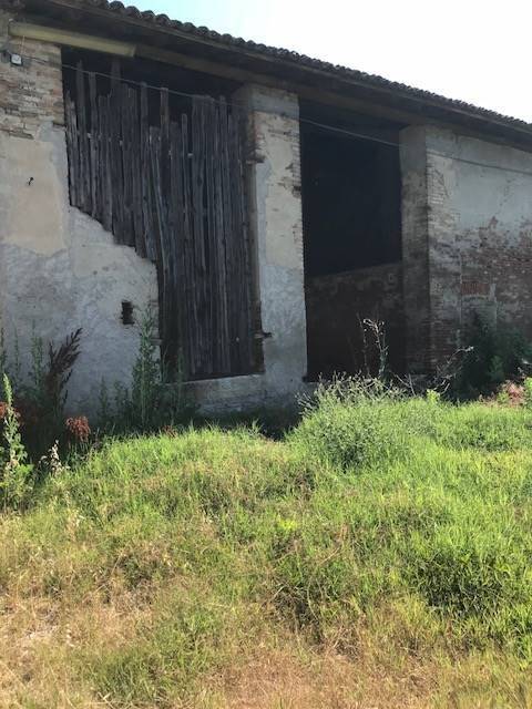 azienda agricola in vendita a Motteggiana