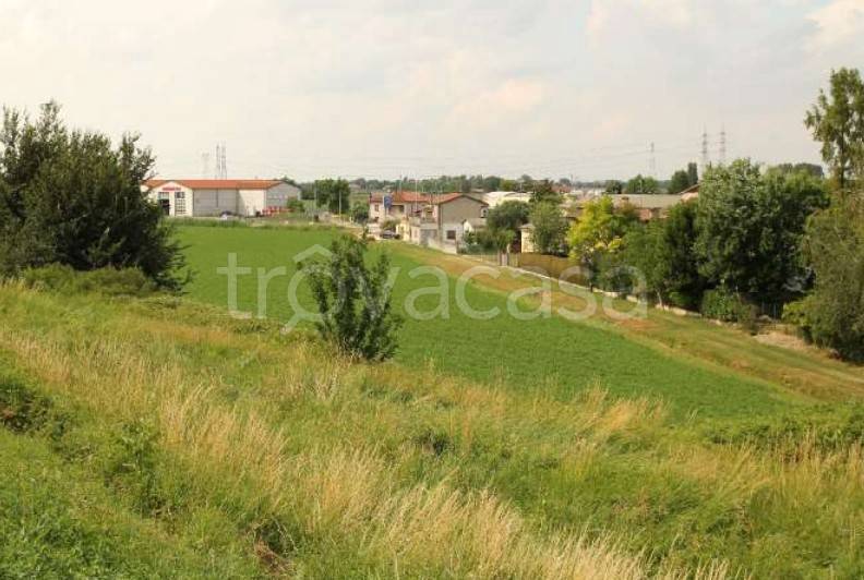 terreno agricolo in vendita a Motteggiana