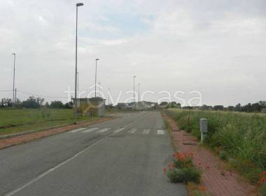 terreno agricolo in vendita a Motteggiana in zona Villa Saviola