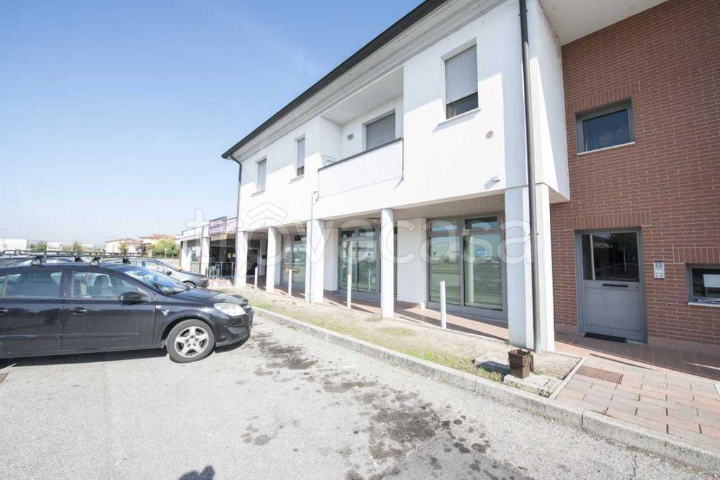 negozio in vendita a Motteggiana