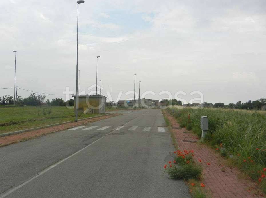 terreno agricolo in vendita a Motteggiana in zona Villa Saviola