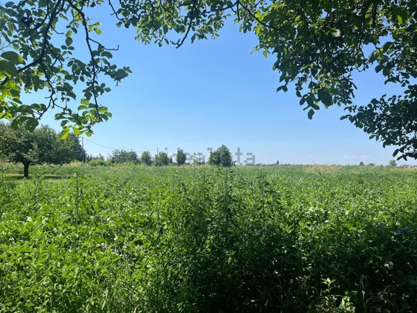 villa in vendita a Motteggiana in zona Torricella