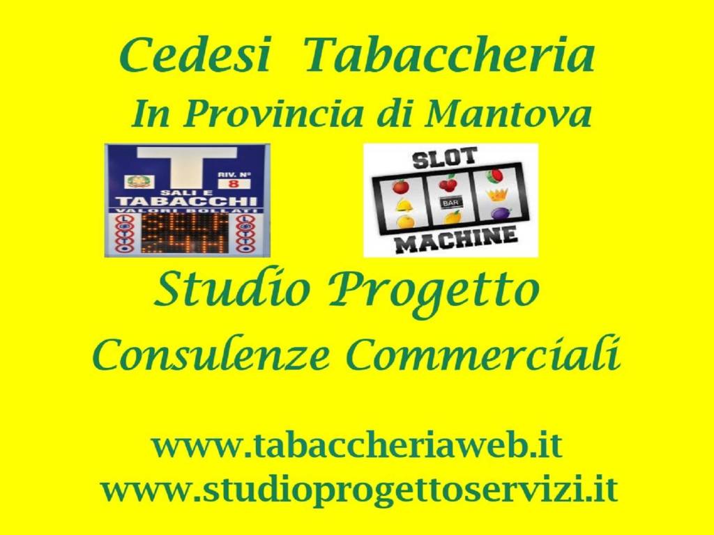 negozio in vendita ad Ostiglia