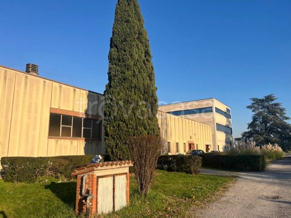 capannone in vendita ad Ostiglia