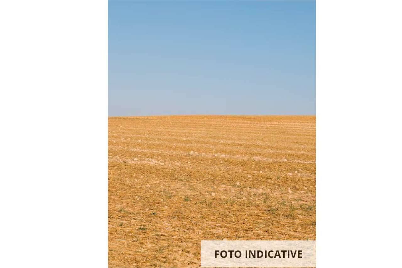 terreno edificabile in vendita a Pegognaga
