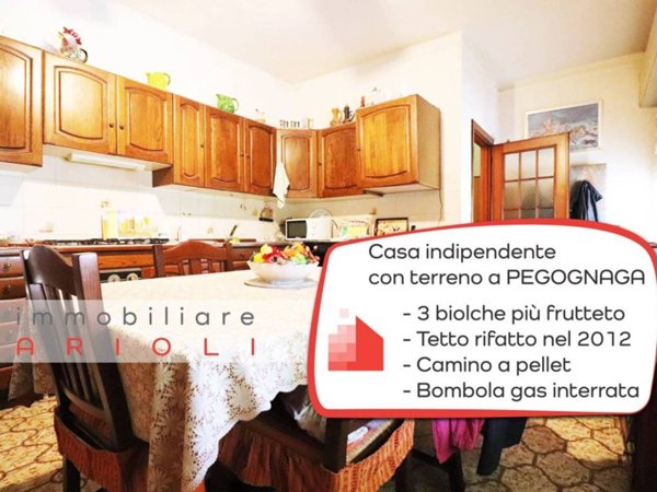 casa indipendente in vendita a Pegognaga