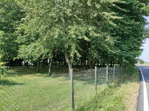 casa indipendente in vendita a Pegognaga