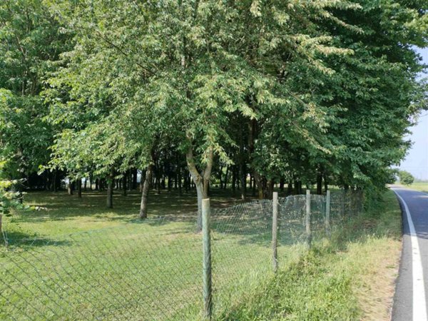 casa indipendente in vendita a Pegognaga