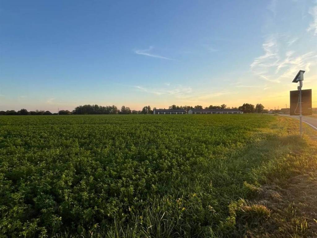 terreno agricolo in vendita a Pegognaga in zona Polesine