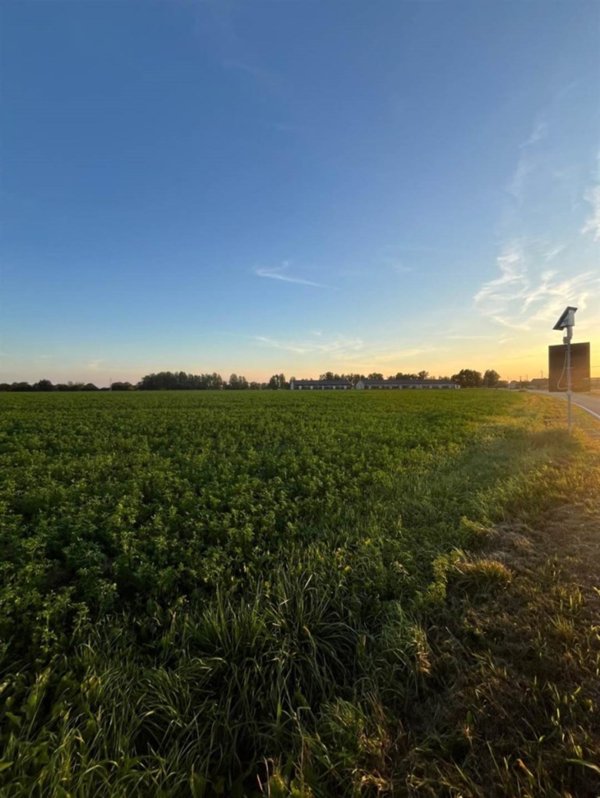 terreno edificabile in vendita a Pegognaga