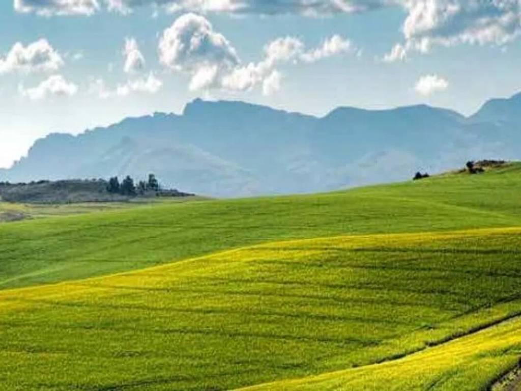 terreno agricolo in vendita a Pegognaga
