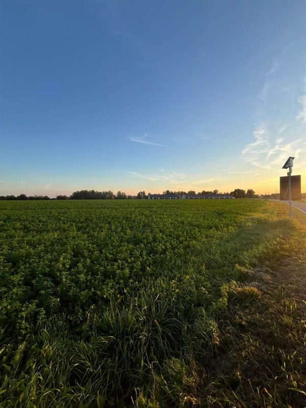 terreno edificabile in vendita a Pegognaga