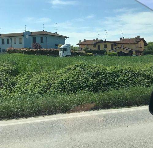 terreno edificabile in vendita a Pegognaga in zona Polesine