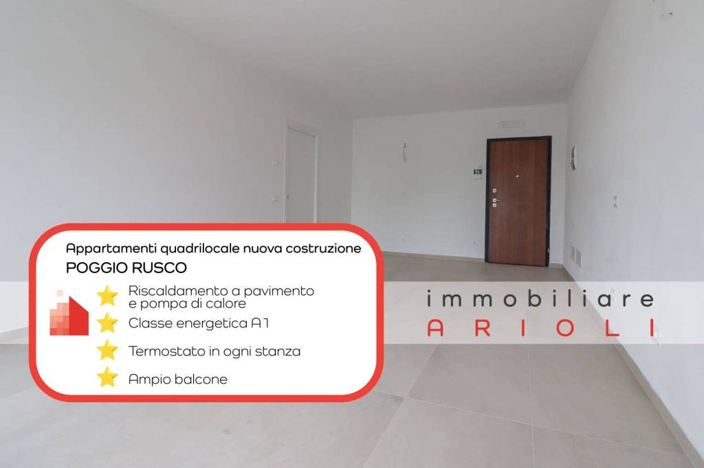 immagine annuncio 0 di 12