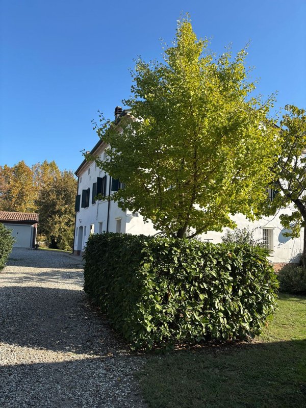 casa indipendente in vendita a Poggio Rusco