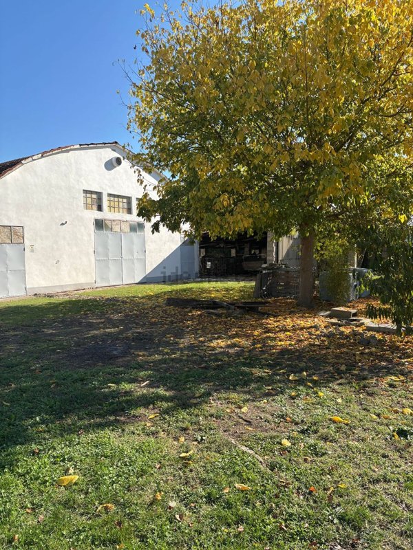 terreno agricolo in vendita a Poggio Rusco