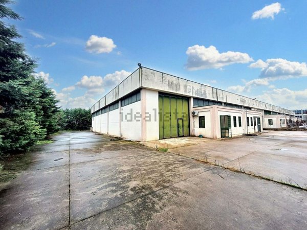 immagine annuncio 0 di 1