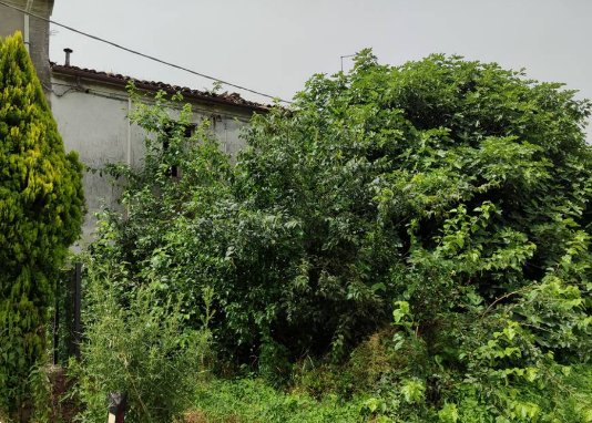 casa semindipendente in vendita a Poggio Rusco in zona Stoppiaro