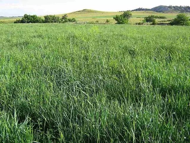 terreno agricolo in vendita a Ponti sul Mincio