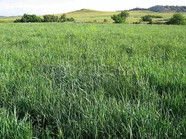 terreno agricolo in vendita a Ponti sul Mincio