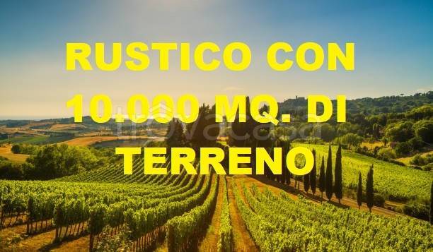 immagine annuncio 0 di 12