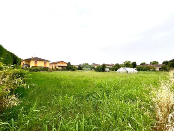 terreno agricolo in vendita a Porto Mantovano in zona Soave