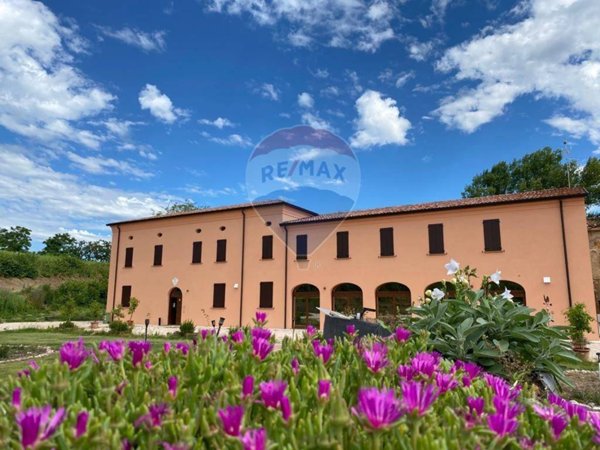 negozio in vendita a Quistello