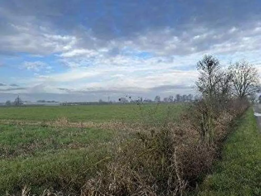 terreno agricolo in vendita a Quistello in zona San Rocco