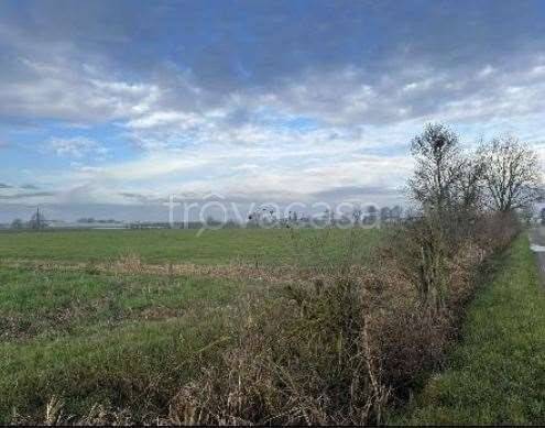 appartamento in vendita a Quistello in zona San Rocco