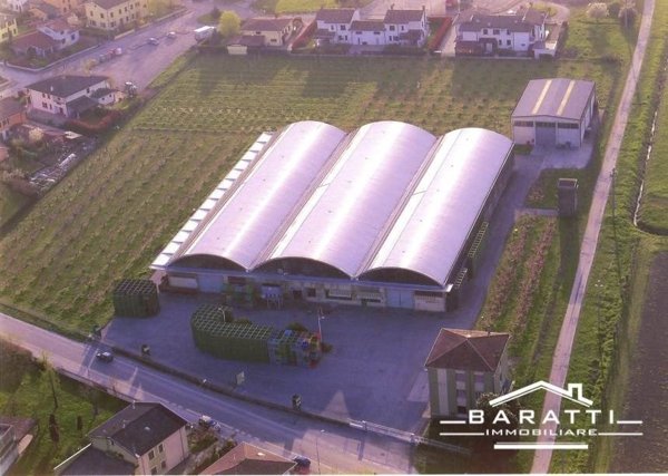 immagine annuncio 0 di 2