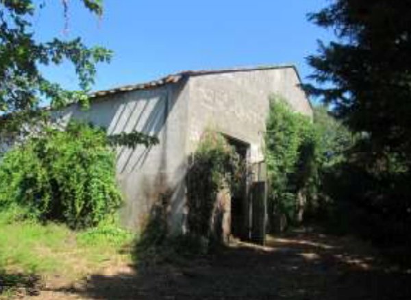 casa indipendente in vendita a Quistello