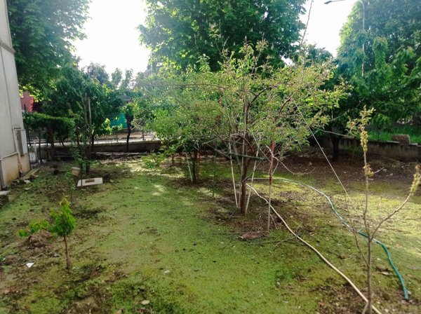 casa indipendente in vendita a Quistello