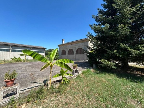 casa indipendente in vendita a Quistello in zona Santa Lucia