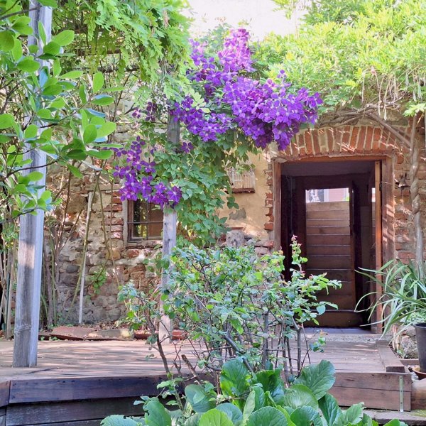 casa indipendente in vendita a San Sebastiano da Po