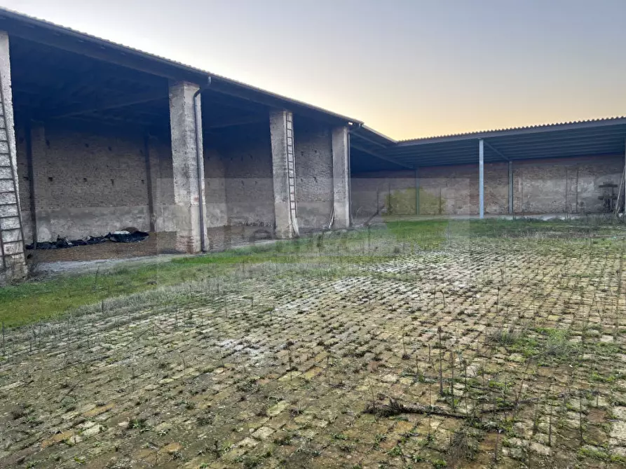 casa indipendente in vendita a Redondesco