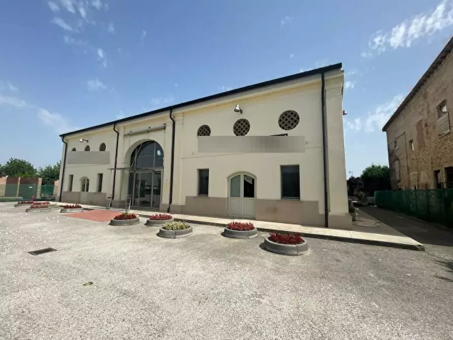 appartamento in vendita a Rodigo