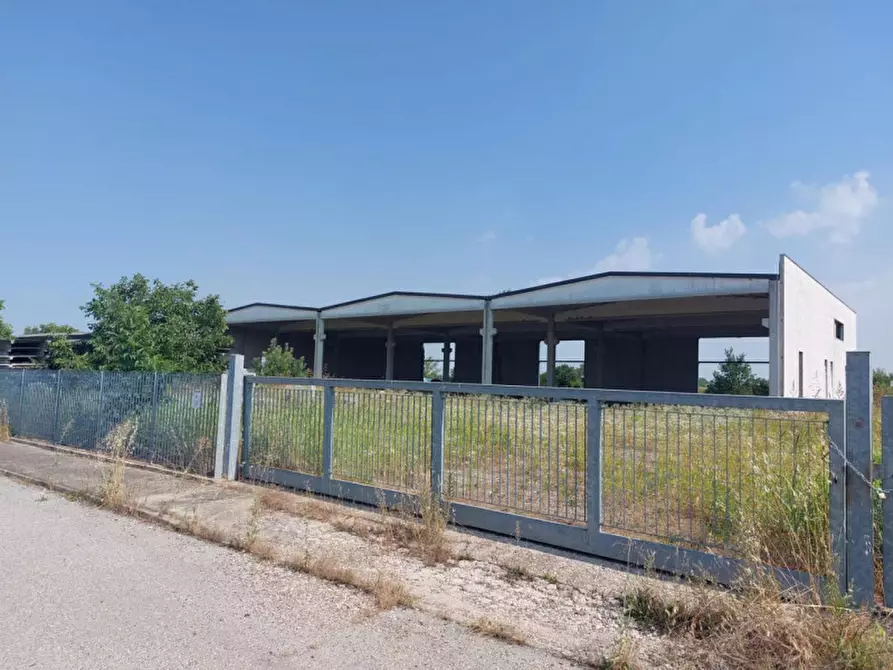 capannone in vendita a Rodigo