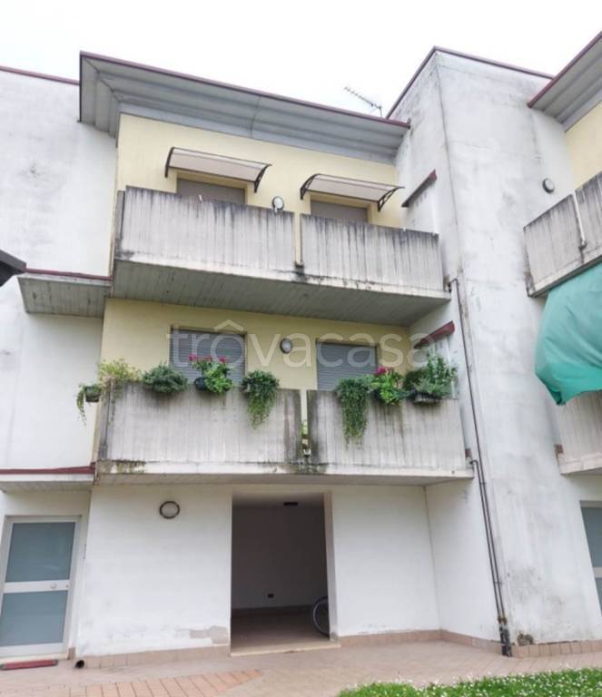 appartamento in vendita a Rodigo