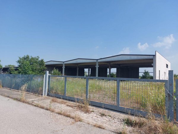 capannone in vendita a Rodigo