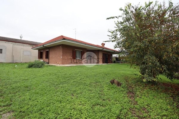 immagine annuncio 0 di 1