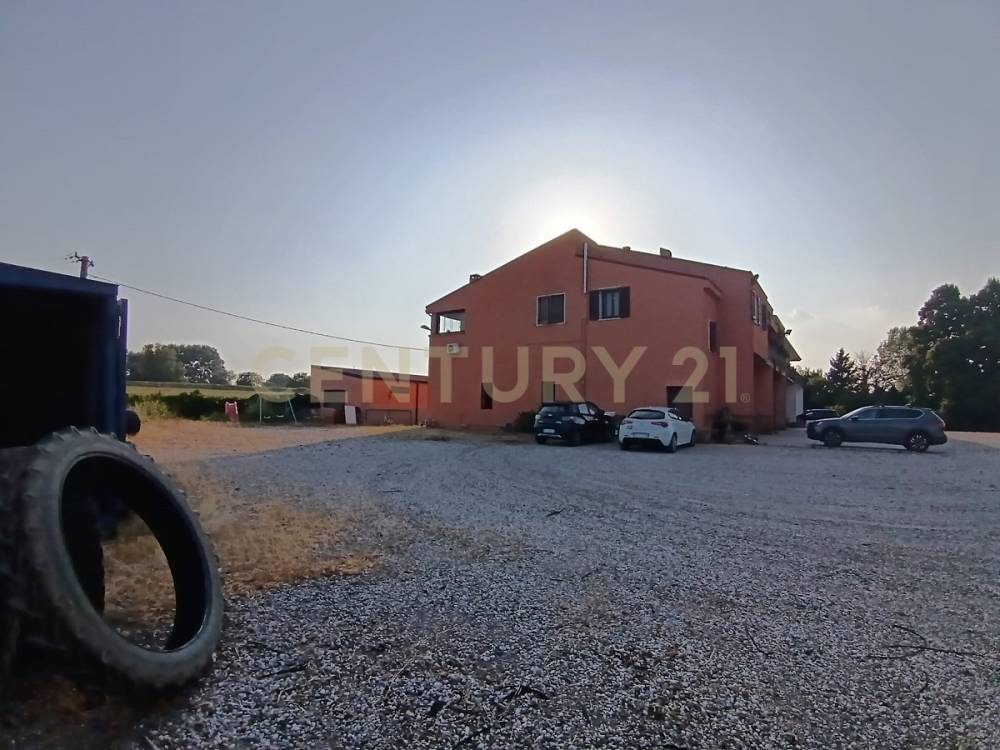 appartamento in vendita a Roncoferraro