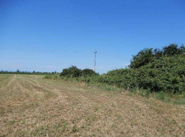 terreno agricolo in vendita a Roncoferraro