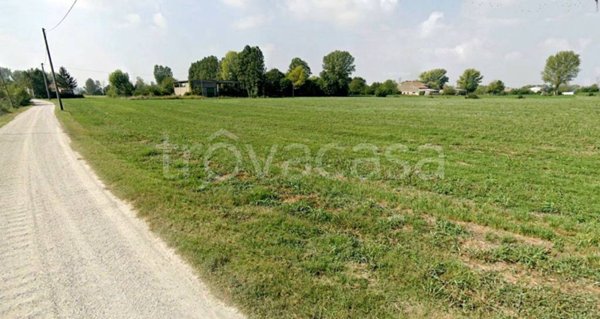 terreno agricolo in vendita a Roncoferraro