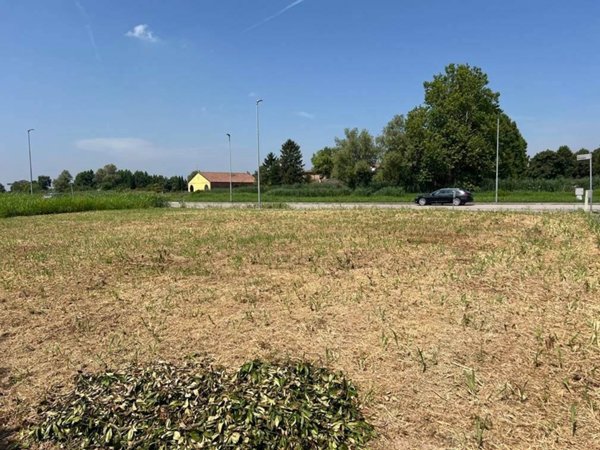 terreno agricolo in vendita a Roncoferraro in zona Cadè