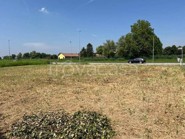 ufficio in vendita a Roncoferraro in zona Cadè